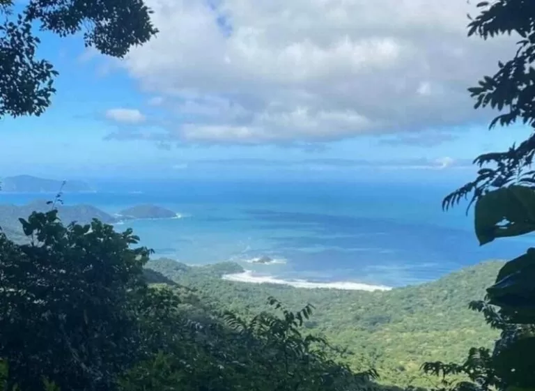 WhatsApp Image 2023-03-22 at 13.53.17 (1)