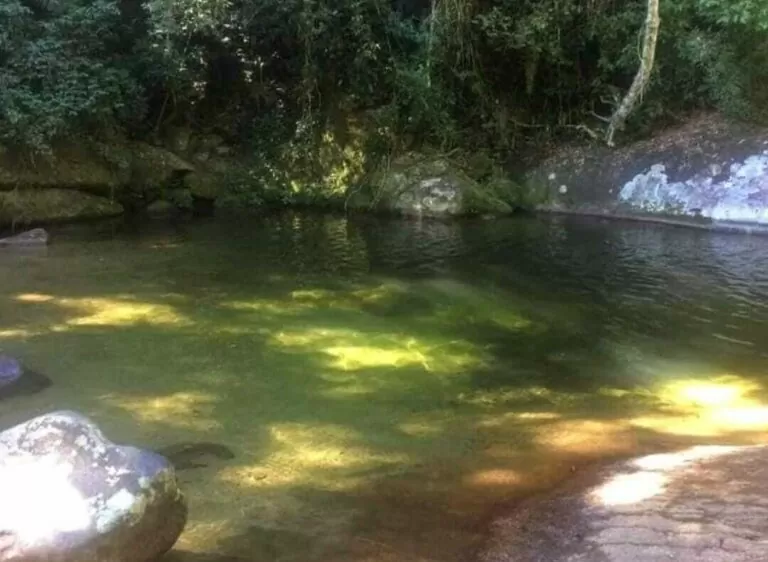 WhatsApp Image 2023-03-22 at 13.53.17