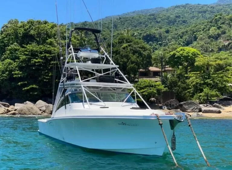 WhatsApp Image 2023-03-22 at 13.55.46