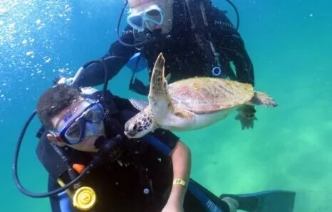 Mergulho Ilha das Cabras